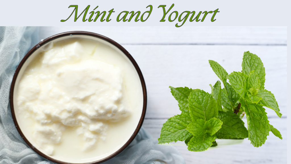 Mint and Yogurt