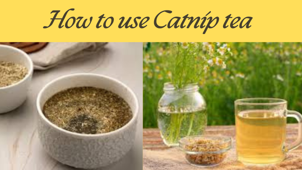 Does catnip tea help you sleep: